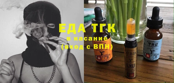 индика Каменка
