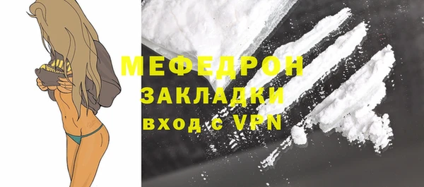 индика Каменка
