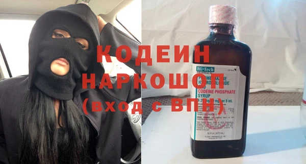индика Каменка