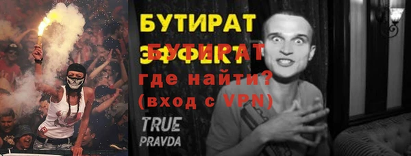 индика Каменка