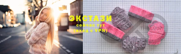 индика Каменка