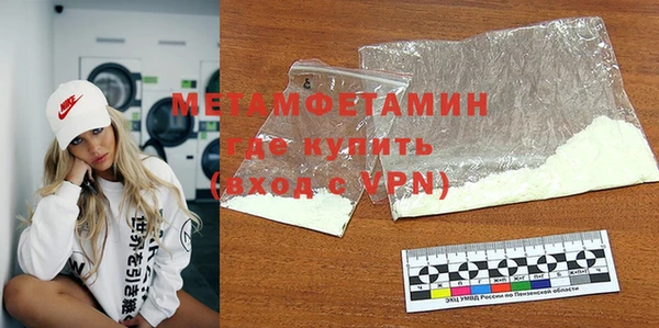 индика Каменка