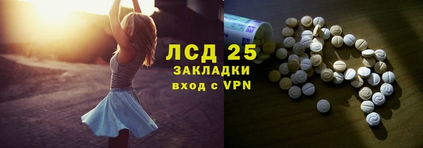 индика Каменка