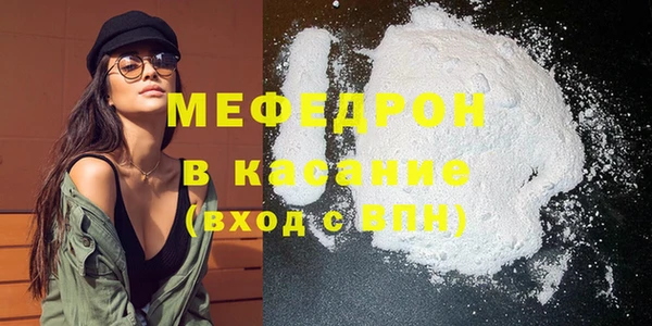 индика Каменка