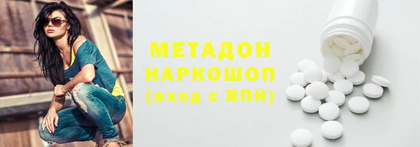индика Каменка