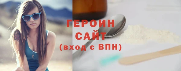 индика Каменка