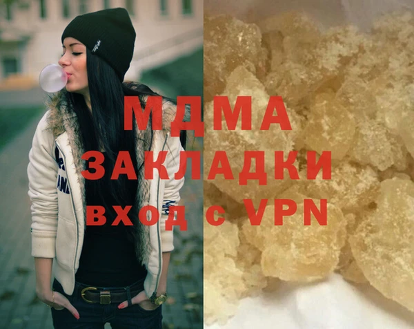 индика Каменка