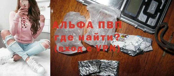 индика Каменка