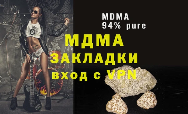 индика Каменка