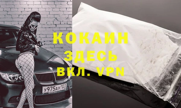 индика Каменка