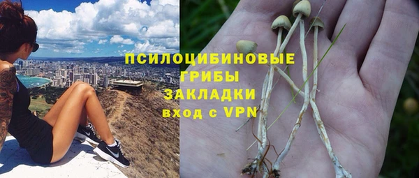 винт Каменногорск