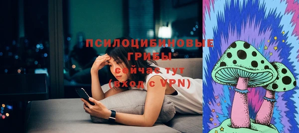 индика Каменка