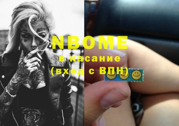 индика Каменка