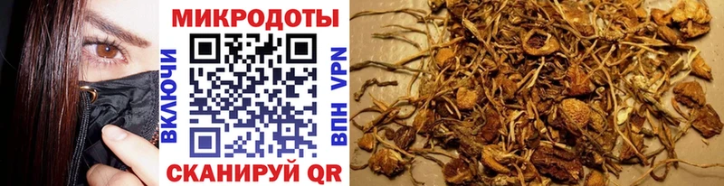 хочу кракен зеркало Галлюциногенные грибы Psilocybe Барнаул