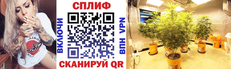 цена наркотик  Барнаул  omg ТОР  Каннабис тримм 